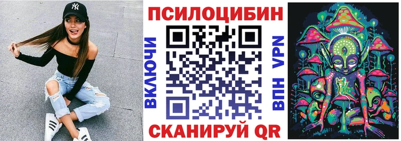 Галлюциногенные грибы Psilocybe  кракен зеркало  Асино 