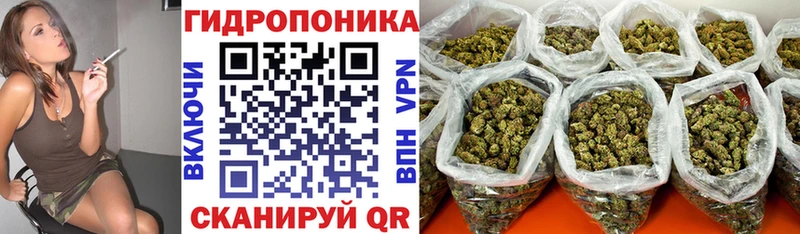 где купить наркоту  Асино  Марихуана MAZAR 
